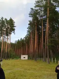 Чуварлейский бор - 44