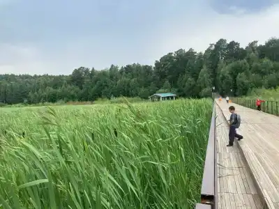 Рассвет - 16