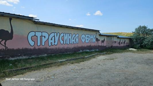 Страусиная ферма Экзотик - 5