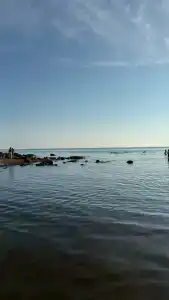 A-frame Сосновый бор - 7