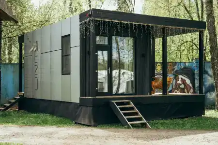 Гуси-Лебеди - 24