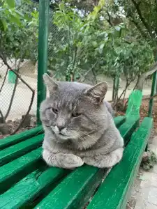 Дом Творчества Актер - 22