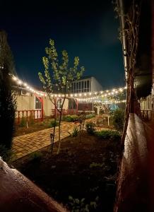 Ess House - 35