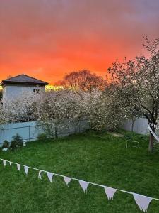 Лисапедово - 56