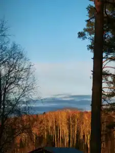 Бухта Лапиковых - 41