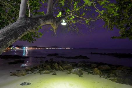 First Bungalow Beach Resort - Sha Plus - 15