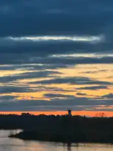 Свидом - 29