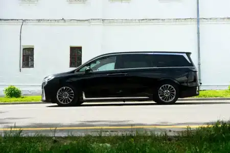 Сирин дом - 45