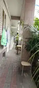 Лилия на Бирюзовой - 82