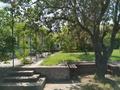 Жемчужина - 63