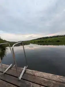 Гнездо - 17