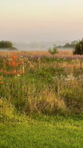 Дом Аиста - 65