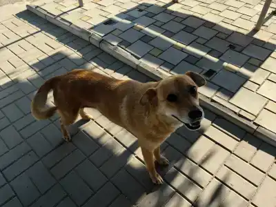 Морское Небо - 53