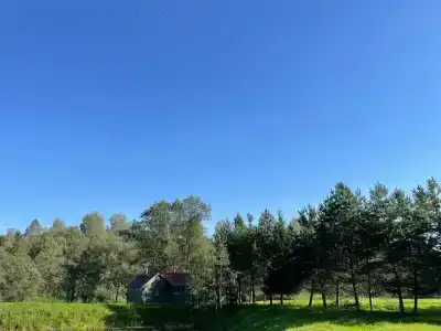 Романов дача - 33