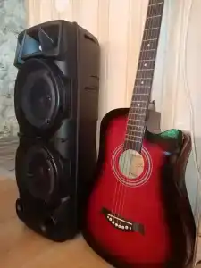 Королевская звезда - 20