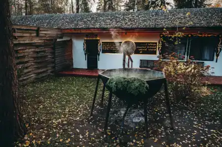 Гуси-Лебеди - 35