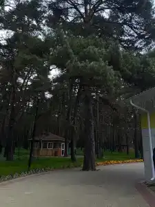Буревестник - 32