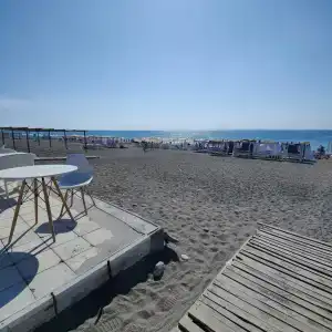 Платан-Paradise - 18
