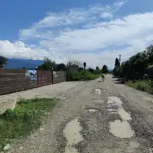 Платан-Paradise - 32