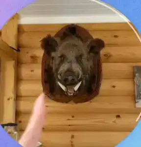 Жемчужина - 18