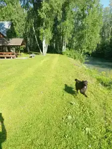 Под Луной - 13