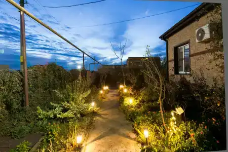 Ленивый Дельфин - 18