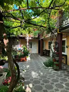 Аленка - 0