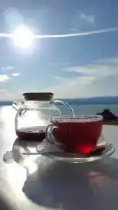 Байкал Вью - 31