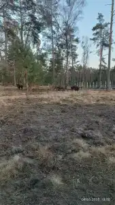 Каменюки - 91