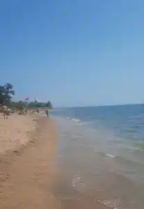 Место Встречи - 79