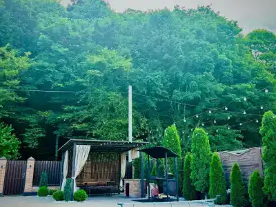 Green Forest - 49