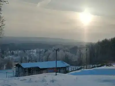 Волков - 20
