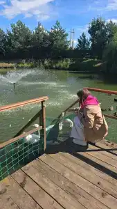 Эко Суздаль Inn - 96