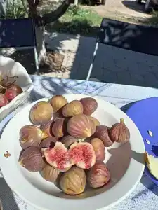 АзовХолидей - 71