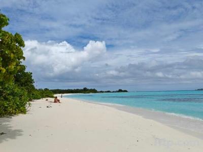 Bougan Villea Retreat - 22