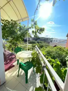 Маргарита - 30