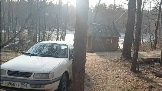 Селькин пруд - 29