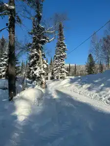 3 Богатыря - 2