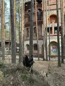 Усадьба Мещерская - 91