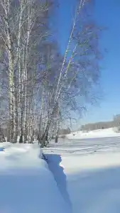 Березовый Уют - 46