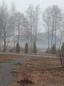 Чайкина дача - 9