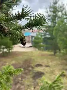 Мечтать и отдыхать - 3
