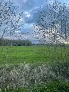 Романов дача - 24