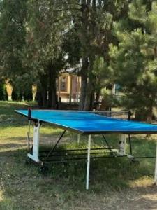 Райский Сад - 2
