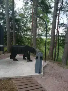 Сосновый берег - 26