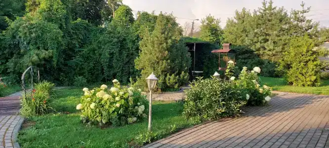 Золотой Ручей - 58