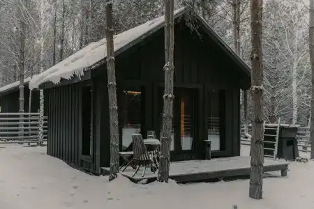 Место под соснами - 36