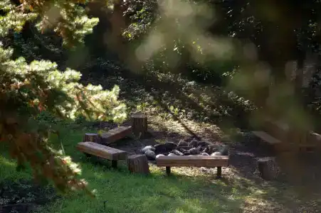 Wish Home Лесной Берег в Мясоедово - 19