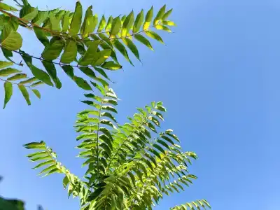 Кемпинг Порфмий - 20