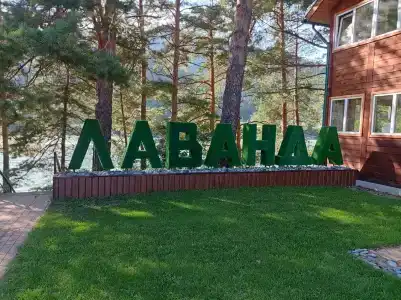 Лаванда - 41
